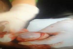 Castration Fetish Porn - Kitchen Table Castration