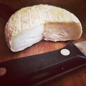 Cheese - Cheese porn (SFW) : r/Cheese