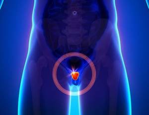 homemade prostate anal toy - ... Here's How to Hit the P-Spot Using a Toy