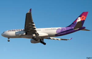 Hawaiian Airlines Porn - Airbus A330-200(Hawaiian Airlines) â€” Weasyl
