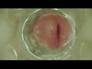 Fleshlight Inside Pussy - 