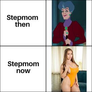 fat porn star meme - A lot changed in last ten years : r/memes