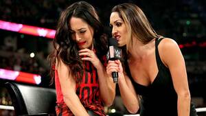 Brie Wwe Porn - Bella vs. Bella | The Worst of WWE