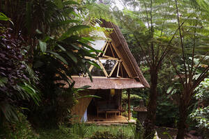 hidden cabin - ð‚ðšð›ð¢ð§ ðð¨ð«ð§ â€“ HIDEOUT is an all-bamboo house hidden in the...