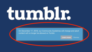 Banned Content Porn - The BBC is worried that Tumblr's new ban will cause a porn shortage