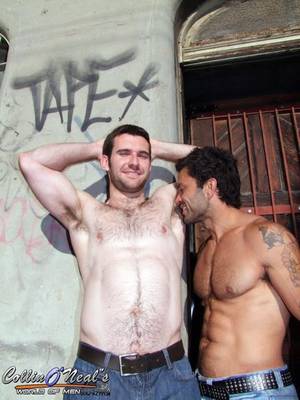 big dude - rogan fucks josh harris - HAIRY GUYS IN GAY PORN