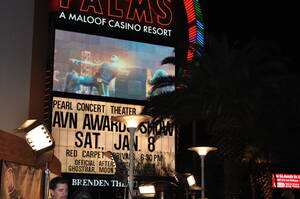 eva angelina gangbang cops - 28ns Premis AVN - ViquipÃ¨dia, l'enciclopÃ¨dia lliure