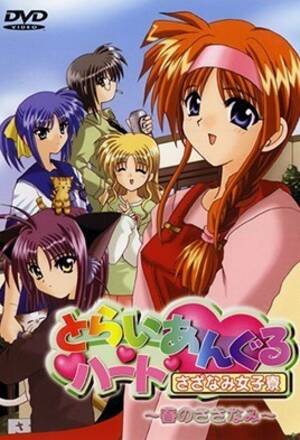 anime hentai dvd tri angle - Watch Triangle Heart: Sazanami Joshiryou 1 Hentai Video in 1080p HD -  hanime.tv