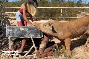 Boar Sex Porn - Boar Corps. Project - ArtOfZoo - Home of Animal Porn