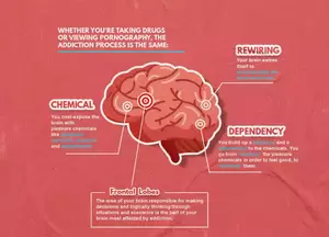 Levels Of Porn - Top 5 Ways In Which Pornography Damages Our Brains - BlockerX
