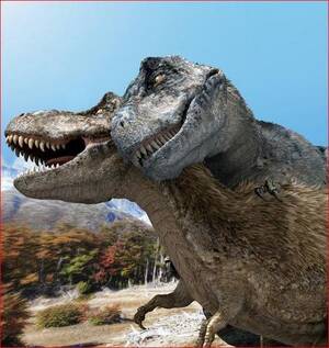 Dinosaur Dick Porn - TIL that paleontologists estimate the size of a tyrannosaurus rex penis to  have been around 12 feet long. : r/todayilearned