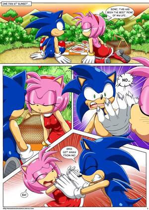 Amy Rose Pregnant Porn - Sonic - [Palcomix][Locofuria] - The Werehog fuck
