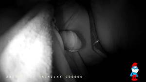 night vision voyeur - Night Vision Voyeur Caught Couple Malay Minnamar G Queen - UPSKIRT.TV