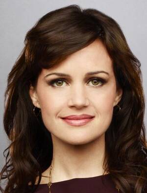 Carla Gugino Porn Cartoon - Actor Gugino feathering her empty nest with roles | Features |  postandcourier.com