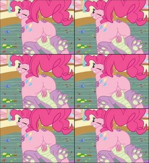 Mlp Gay Porn Butt - swfchan: butt cutie mark equine femalefriendship is magic hair horse  looking back loop maf male my little pony no sound one eye closed  penetration pink ...
