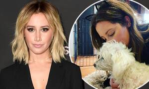 Ashley Tisdale Hardcore Porn - Ashley Tisdale mourns loss of her family's dog Blondie | Daily Mail Online