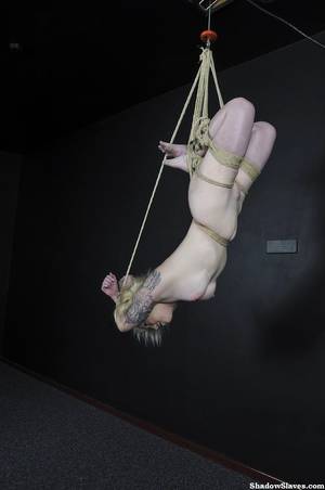 Acrobatic Rope Porn - Shadowslaves Angel 3d Bondage Pinupfiles Gallery jpg 5