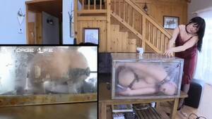 Box Bondage Porn - The Sweat Box (With Lita) â€“ Lita Lecherous, Rachel Greyhound. 11/25/2019.  Bondagelife.com (265 Mb) Â« Hardcore Extreme â€“ BDSM & Fetish Porn