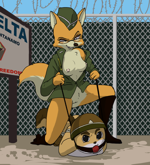 Furry Squirrel Porn - Rule 34 - anthro ball gag bondage boots breasts canine eyewear female fox  fur furry geumsaegi glasses lt. fox vixen military uniform nipples open  clothes open shirt pussy shirt squirrel squirrel and