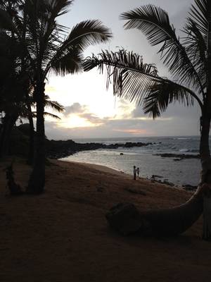 Kahului And Kihei Hawaii - Mama's Fish House - Maui