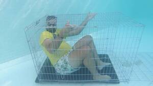 Cage Underwater - UNDERWATER CAGE - ThisVid.com