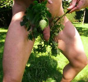 Nettle Porn - CBT stinging nettle torture