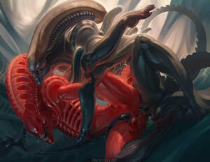 Alien Xenomorph Hentai Gay Porn - Rule 34 - alien alien (franchise) anal anal sex balls gay gay sex male  male/male male only male penetrating male male xenomorph penis viral  divinity xenomorph yaoi | 5532267