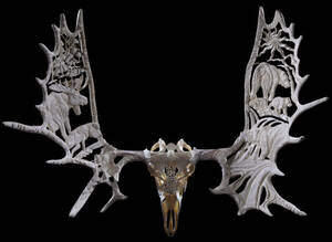 Canadian Moose Porn - archiemcphee: Canadian artist Shane Wilson transforms massive moose antlers  into magnificent works of sculpture inspired by his natural surroundings in  northern Ontario. Using ethically sourced antlers, horns, and skulls from  native animals,