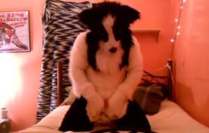 Collie Porn - Frisky Collie - Biguz.net