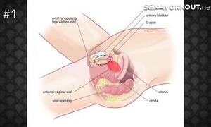 Alvin And The Chipmunks Lesbian Porn - Alvin and the chipmunks porn videos - Porzo Porn Tube