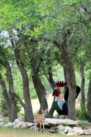 Beyonce Fucked - Beyonce â€“ The Bloggess