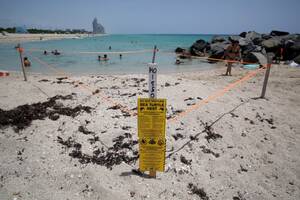 florida beach babes naked - Haulover Beach tops the list of best nude beaches in America