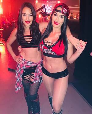 Bella Twins Porn Site - WWE's Bella twins used to pay the bills at Hooters â€“ now they're worth $12m  and own matching LA mansions & lingerie line | The US Sun