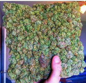 Fairy Tail Porn Marijuana - Online Sales, Medical Marijuana, Porn, Packaging, Wrapping