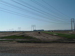 angelica harris sexy black porn - One of the farm fields in southern Camarillo.