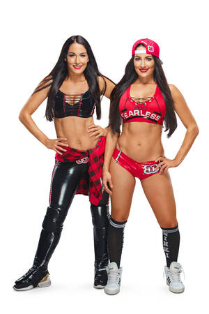 bella twins anal sex - Biography: WWE Legends' Preview: Nikki Bella On Serious Soccer Injury â€“  Hollywood Life