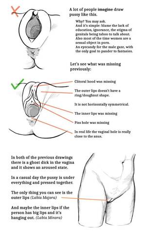black pussy diagram - I would like to get some feedback on my drawing tutorial :  r/badwomensanatomy