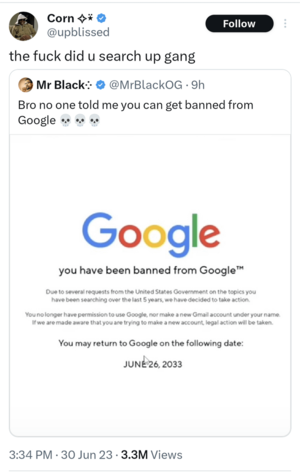 Banned Abused Porn - How do you get a 10 year ban from Google? : r/BlackPeopleTwitter