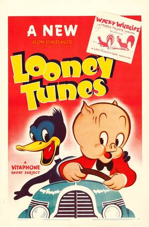 1930 Porn Looney Tunes - 11 Looney tunes ideas | looney tunes, looney, classic cartoons