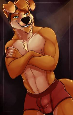 Furry Gay Underwear Porn - Furry Wolf, Wolves, Underwear, Puppies, Things To Draw, Puppys, A Wolf, Bad  Wolf, Lingerie