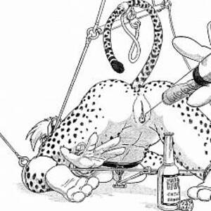 Hardcore Furry Hentai Porn - Freaky anime hentai hardcore furry porn. Anime content - 4 pics.