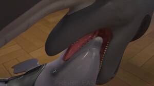 Animals Dolphin Furry Porn Gif - Innocent dolphin sucking Furry made me cum like a lunatic!