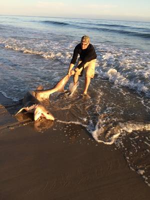 Monster Fish Porn - Fish Porn