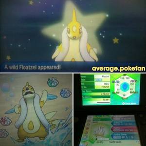 floatzel hentai - #floatzel hashtag on Twitter