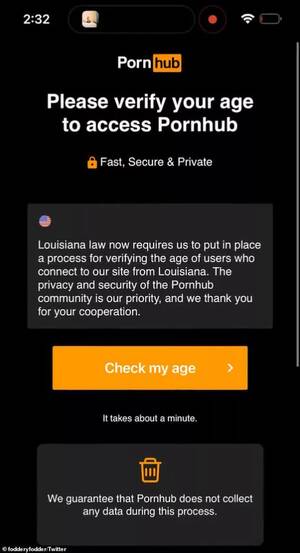id porn - No porn for you: seven more states push for ID checks on adult websites |  TechSpot