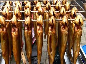 Dutch Eel Porn - 0972d17584a5e74ae60305889cd063ab.jpg (736Ã—552)