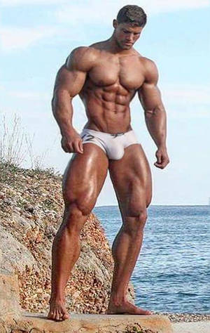 Muscle Porn Actress - Porn Star Muscle