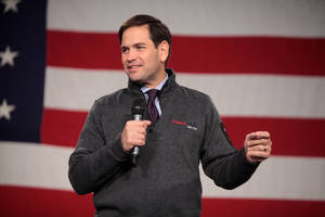 Gay Porn Marco Rubio - 