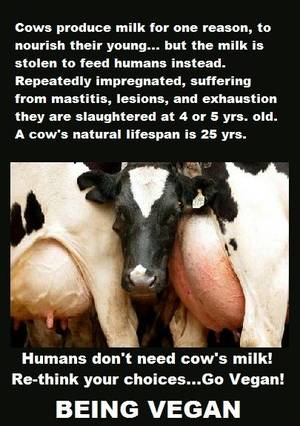 Caption Milk Theft - Cows produce milk for one reason: to nourish their young. Go vegan.