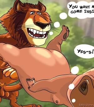 Madagascar 2 Porn - Madagascar 2 Alex & Gloria Porn Comic comic porn | HD Porn Comics